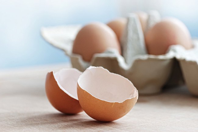 ¿Conoces los beneficios de la cáscara de huevo?