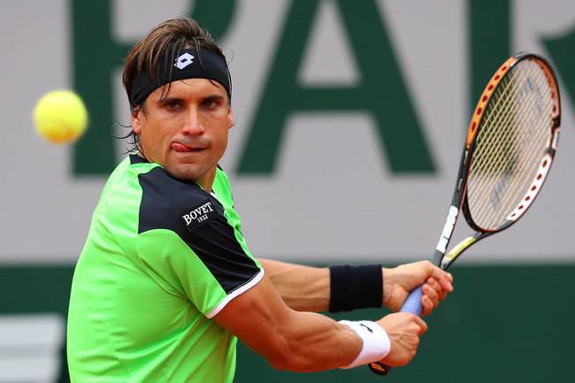 david ferrer