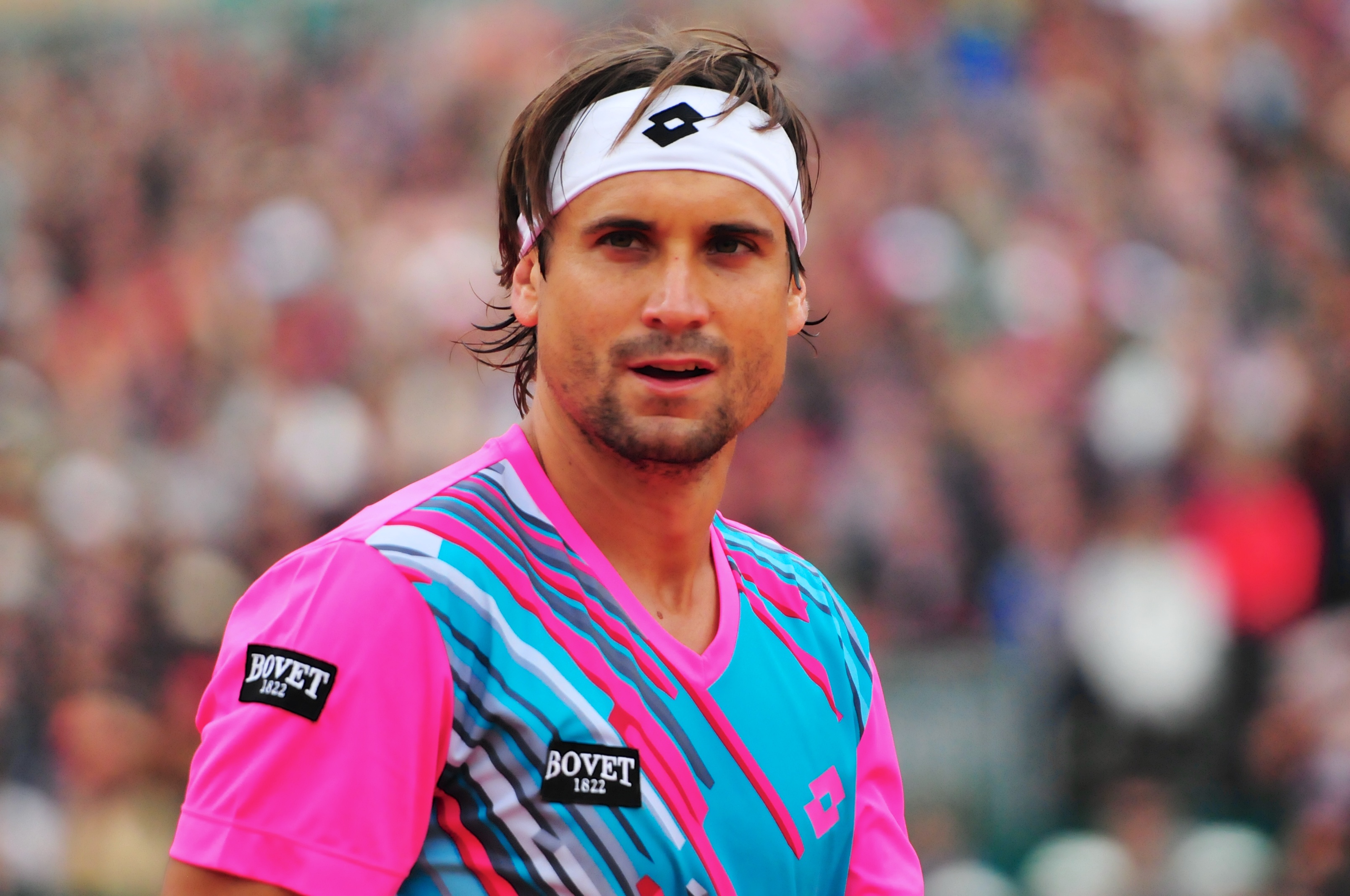 david ferrer