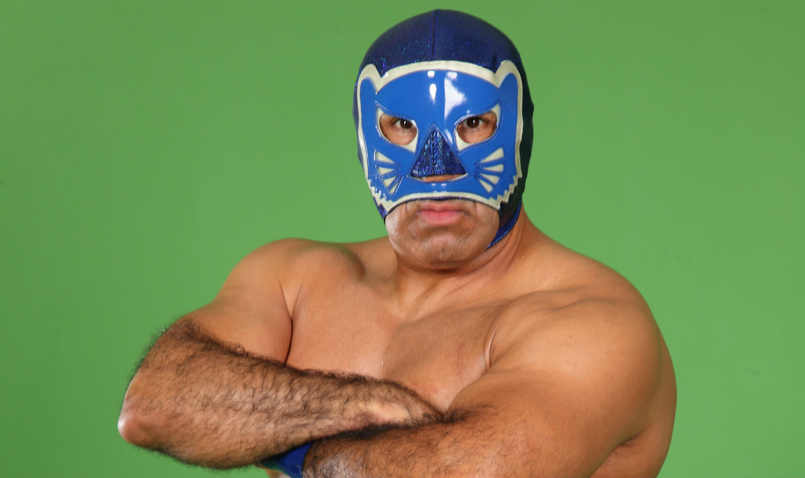 blue panther