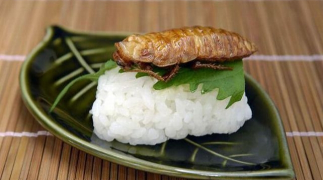 Sushi con insectos... ¿Una nueva moda?