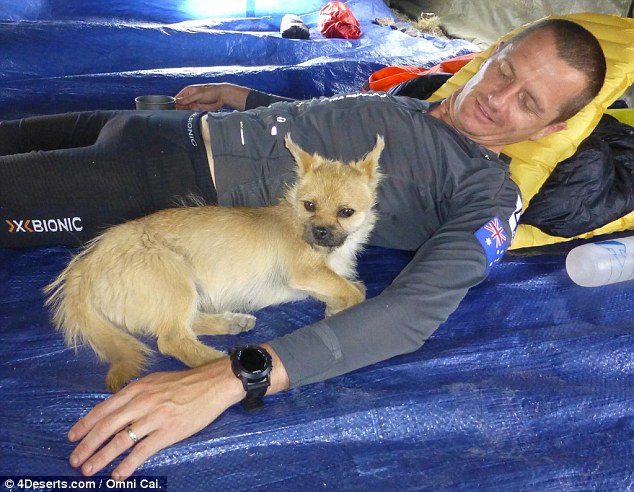 Gobi, el perrito que acompañó a un atleta