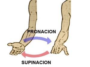 Los 5 mejores ejercicios de bíceps