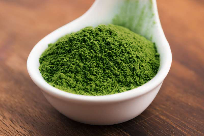 Chlorella