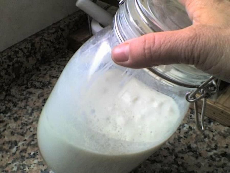 Kéfir con leche