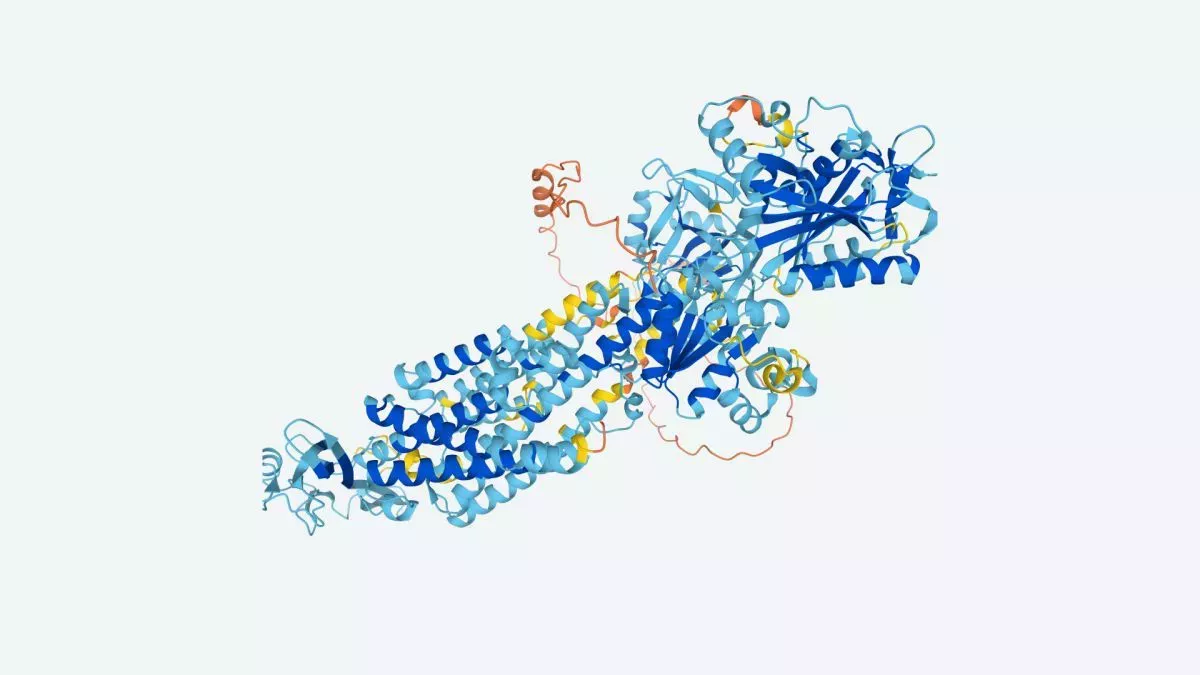 La IA DeepMind ha descubierto la estructura de casi todas las proteínas conocidas por la ciencia