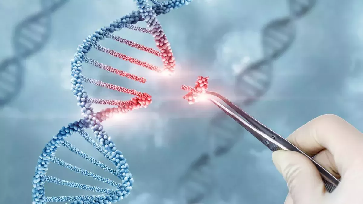  Todo lo que debe saber sobre los tratamientos para modificar el ADN