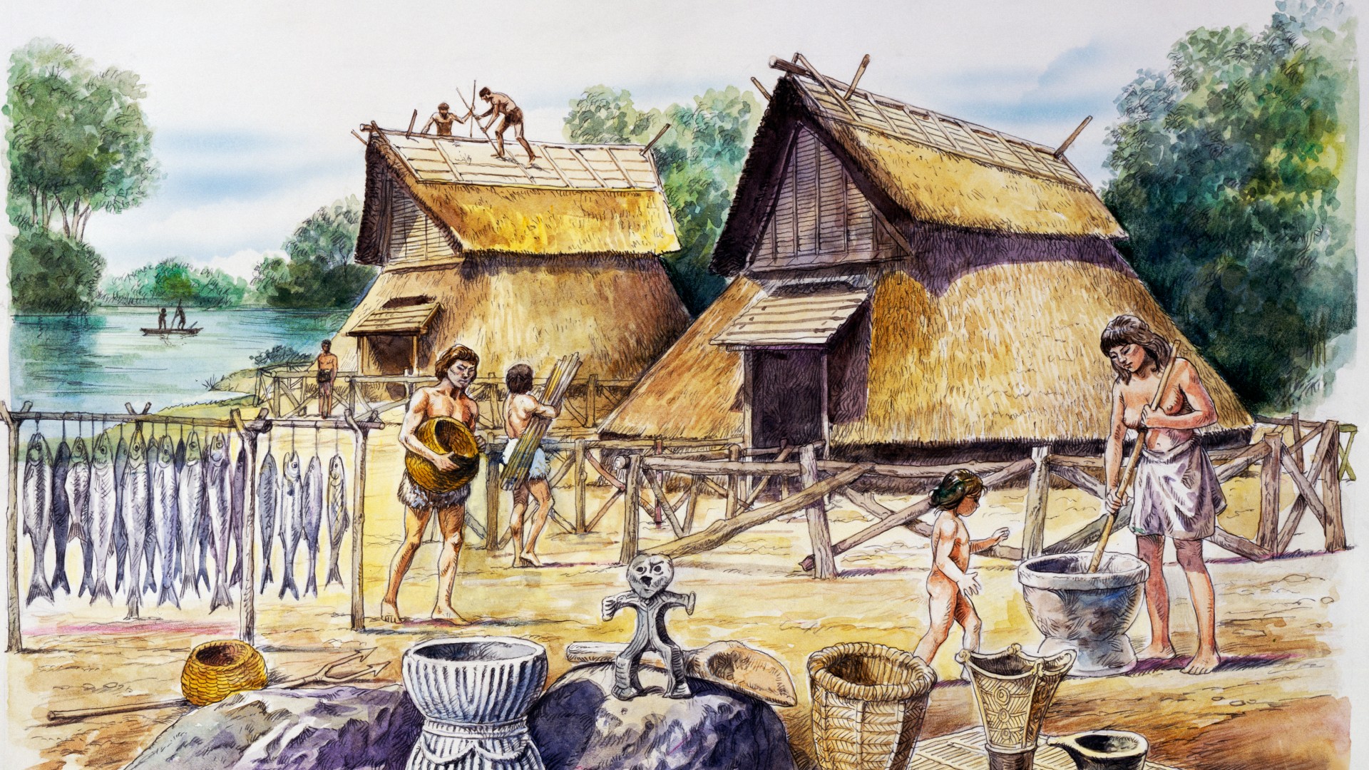 Ancient hunter-gatherer DNA linked to higher BMI in modern Japanese people