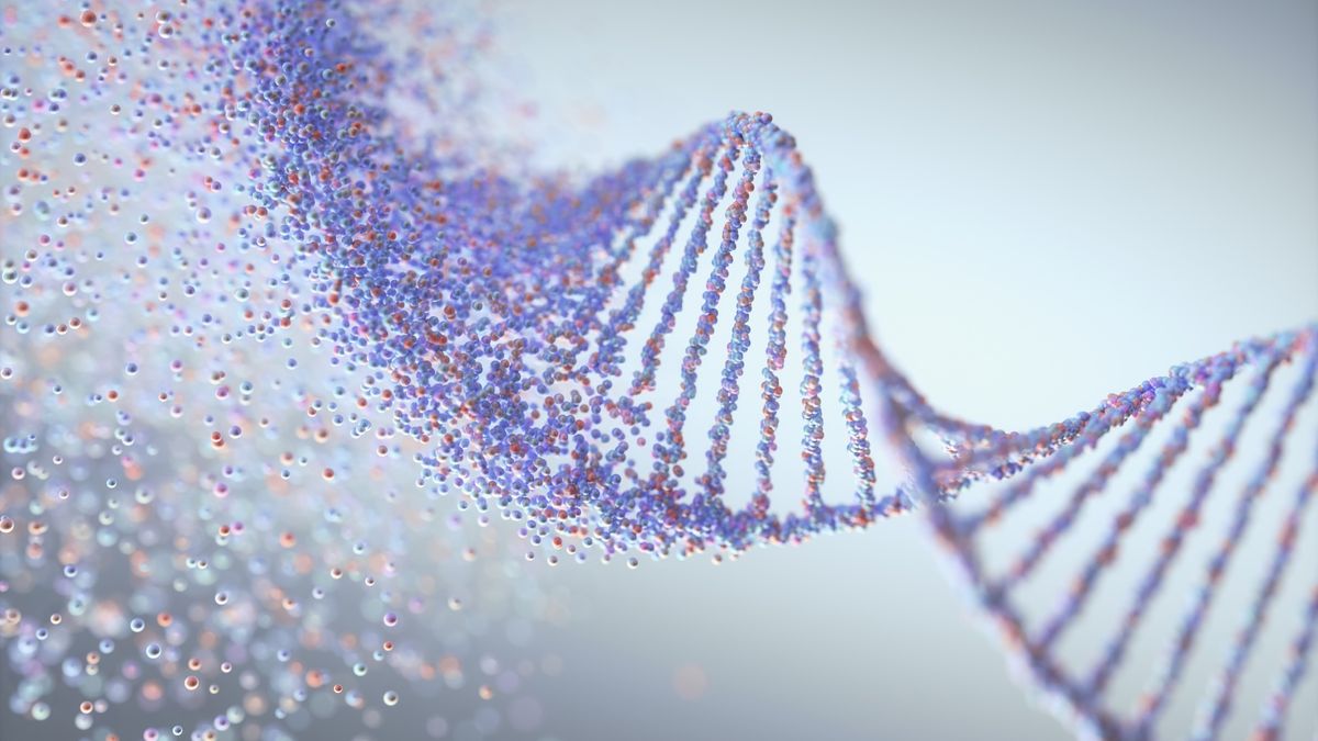 Nuevo sistema CRISPR pausa genes, en lugar de apagarlos permanentemente