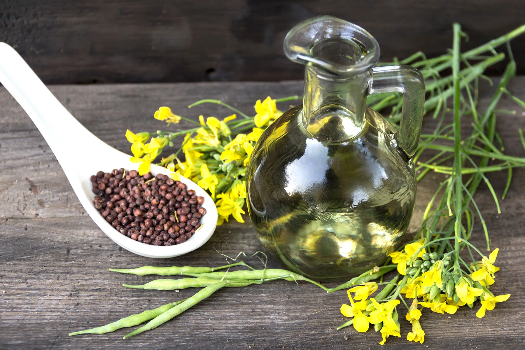 Seed Oils, Processed Foods, and Colon Cancer