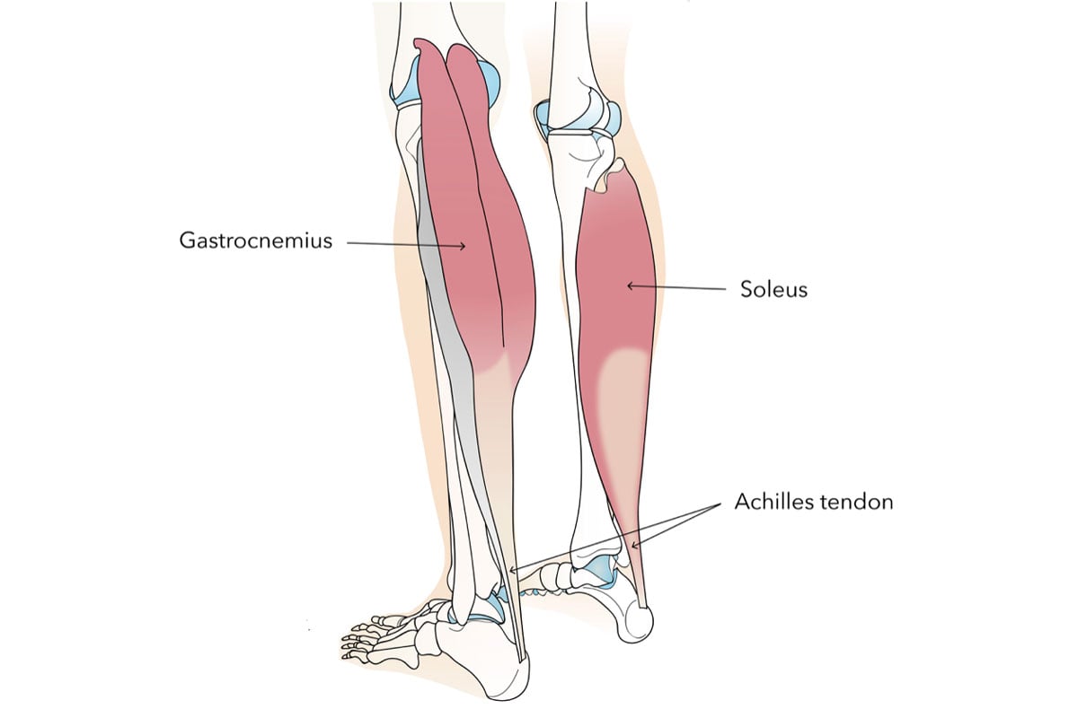 Soleus Pushup: What Is It & How To Perform The Exercise