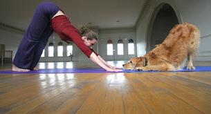 Hacer yoga con mascotas