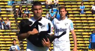 Este perro se coló en un partido de la Liga argentina