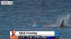 ¡El surfista Mick Fanning atacado por un tiburón en directo!