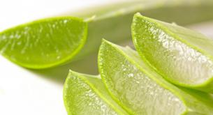 Aloe vera para comer