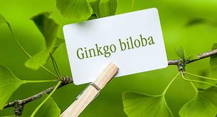 Las asombrosas propiedades del gingko biloba