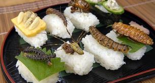 Sushi con insectos... ¿Una nueva moda?