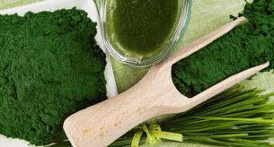 Espirulina sólida o líquida, ¿cuál es mejor?