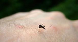 ¿Por qué los mosquitos pican más a unas personas que a otras?