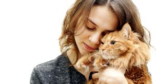 3 formas de mejorar tu salud gracias a tu gato