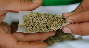 La marihuana es menos dañina para el cerebro que el alcohol